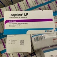 Isoptine LP 240mg 30 viên 