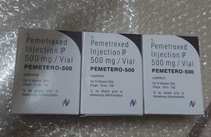 Pemetero 500mg hộp 1 lọ 